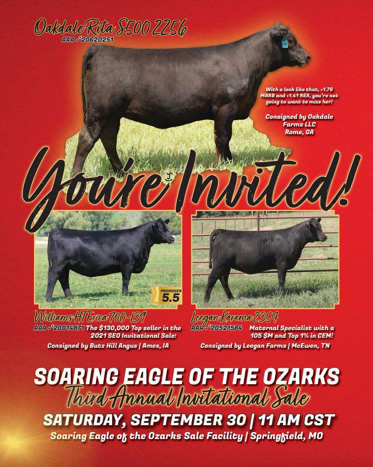 Soaring Eagle Farms Angus
